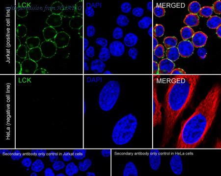 HUABIO HA751279 image 2