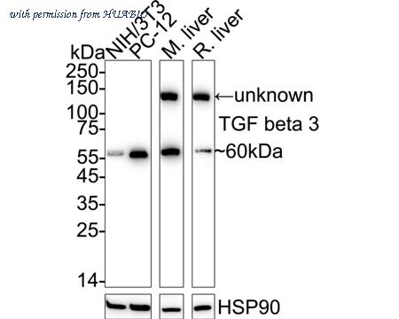 HUABIO HA751280 image 2