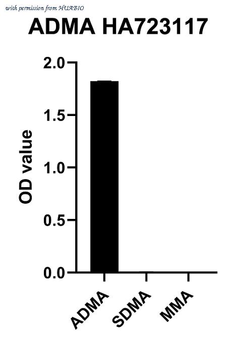 HUABIO HA751302 image 3