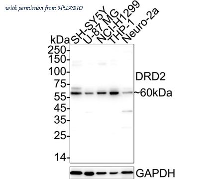 HUABIO HA751324 image 1