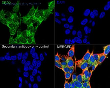 HUABIO HA751324 image 3