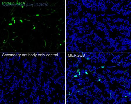 HUABIO HA751327 image 2