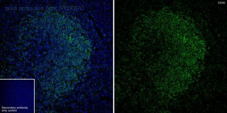 HUABIO HA751331 image 1