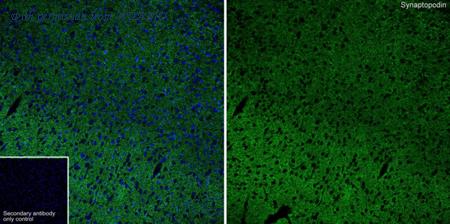 HUABIO HA751350 image 2