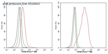 HUABIO HA751368 image 3