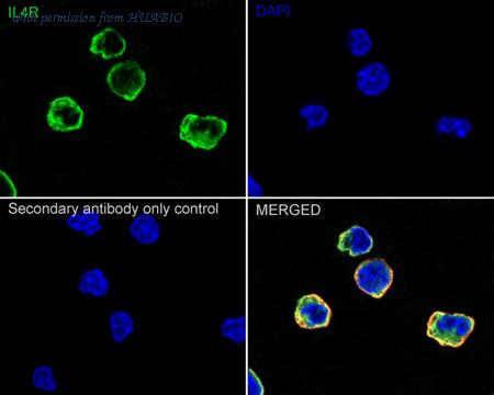 HUABIO HA751378 image 3