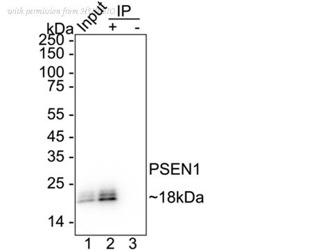 HUABIO HA751400 image 2