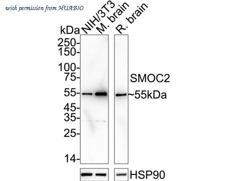 HUABIO HA751404 image 1