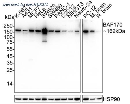 HUABIO HA751433 image 1