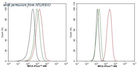 HUABIO HA751479 image 2