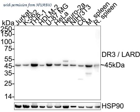 HUABIO HA751492 image 1