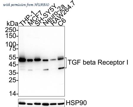 HUABIO HA751509 image 1
