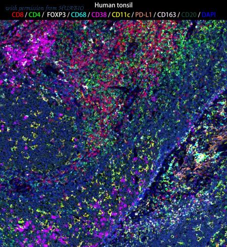 HUABIO IRS002 image 1