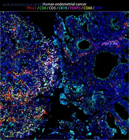 HUABIO IRS011 image 2