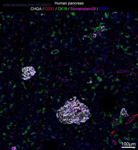 HUABIO IRS011 image 3