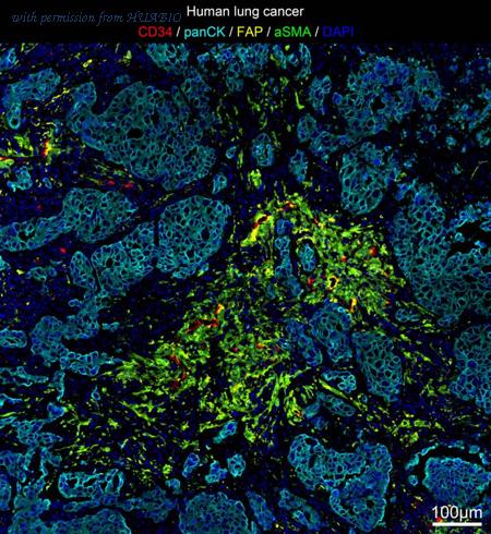 HUABIO IRS012 image 1