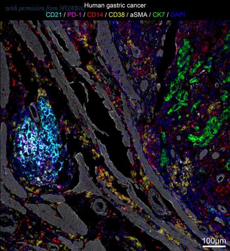 HUABIO IRS019 image 1