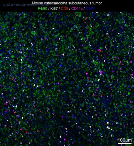 HUABIO IRS057 image 1