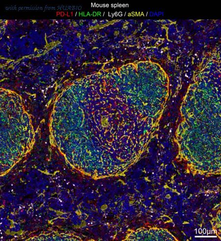 HUABIO IRS059 image 1