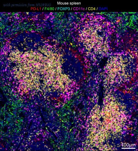 HUABIO IRS059 image 2