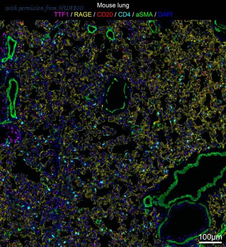 HUABIO IRS063 image 1