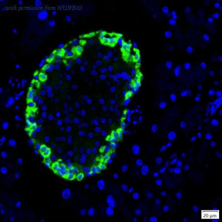 HUABIO IRS230RB image 1