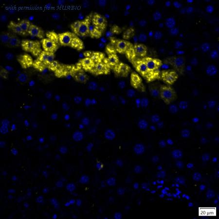 HUABIO IRS231MS image 1