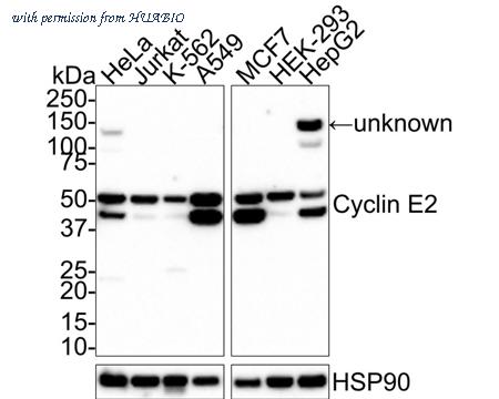 HUABIO M0407-15 image 1