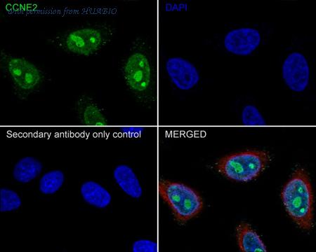 HUABIO M0407-15 image 2