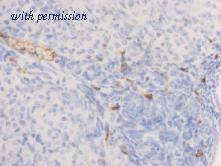 HUABIO M0806-10 image 2