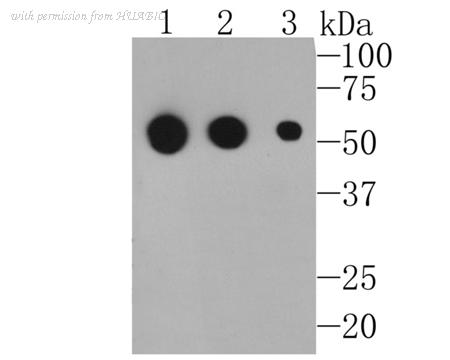 HUABIO M1003-7 image 1