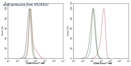 HUABIO M1007-10 image 3