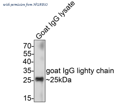 HUABIO M1007-14 image 1