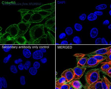 HUABIO M1009-3 image 2