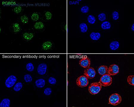 HUABIO M1012-1 image 3