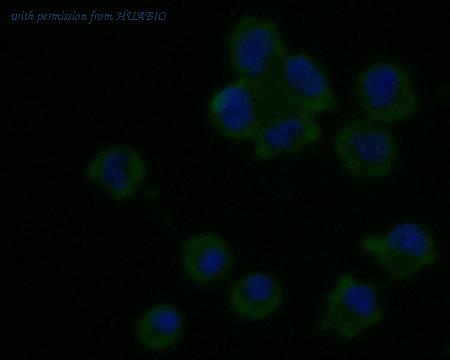 HUABIO M1012-8 image 2