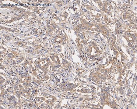 HUABIO M1210-6 image 3