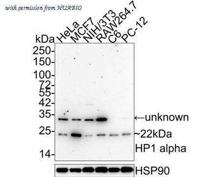 HUABIO M1211-2 image 1