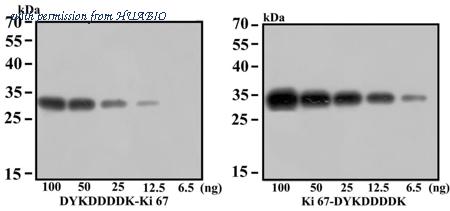 HUABIO M1403-2 image 1