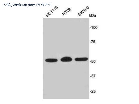 HUABIO M1403-4 image 1