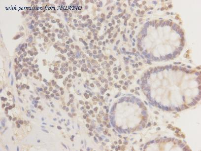 HUABIO M1405-4 image 3