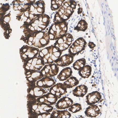 HUABIO M1412-2 image 3