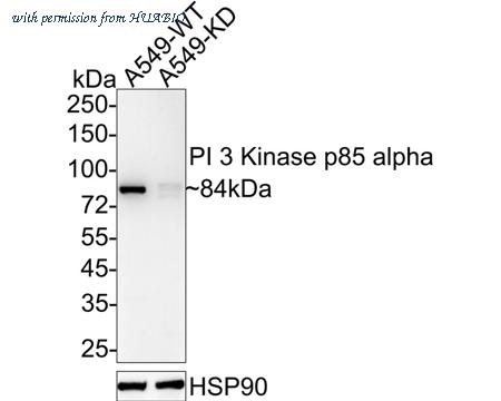 HUABIO M1510-2 image 2
