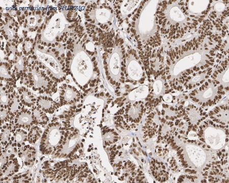 HUABIO M1510-3 image 3