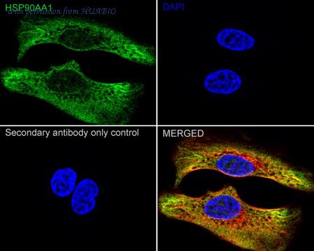 HUABIO M1603-3 image 2