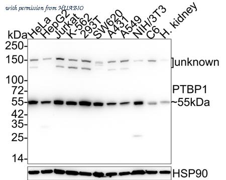 HUABIO M1701-7 image 1