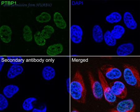 HUABIO M1701-7 image 3