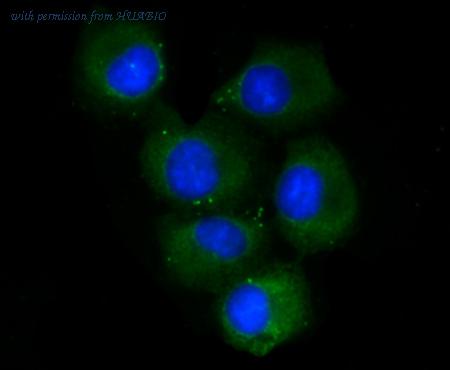 HUABIO R1107-6 image 2