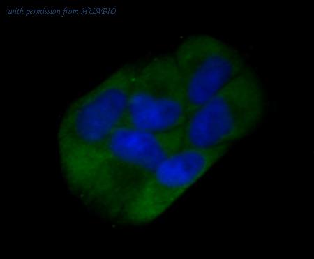 HUABIO R1107-6 image 3