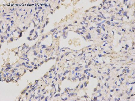 HUABIO R1310-4 image 3